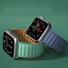 Curea magnetica smartwatch Apple Watch 1 / 2 / 3 / 4 / 5 / 6 / 7 / SE (38mm / 40 mm / 41 mm), Techsuit - Maro